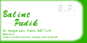 balint pudik business card